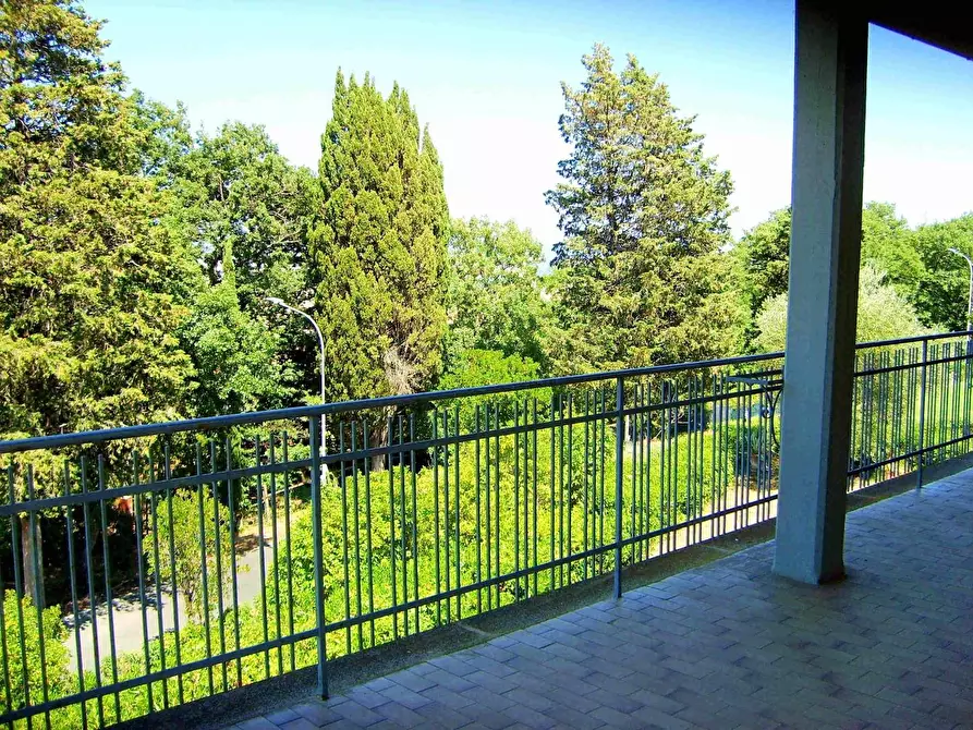 Immagine 4 di Villa in vendita  a Lajatico