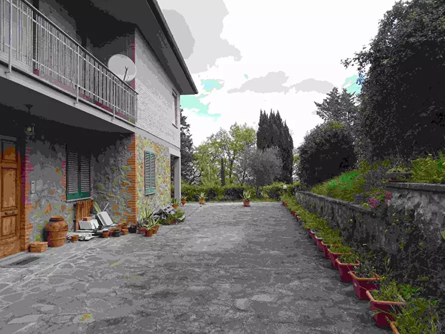 Immagine 5 di Villa in vendita  a Lajatico