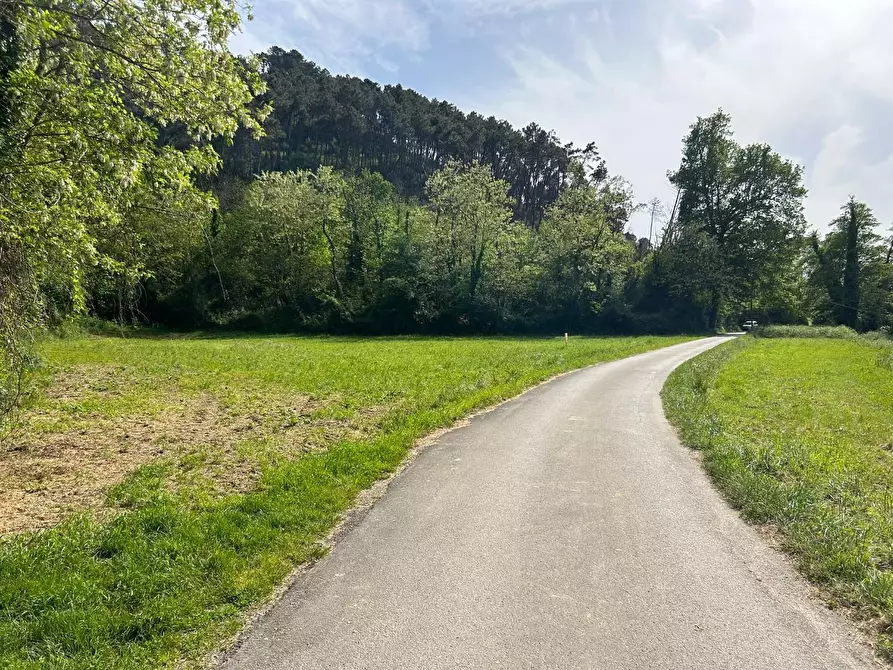 Immagine 1 di Terreno agricolo in vendita  a Camaiore