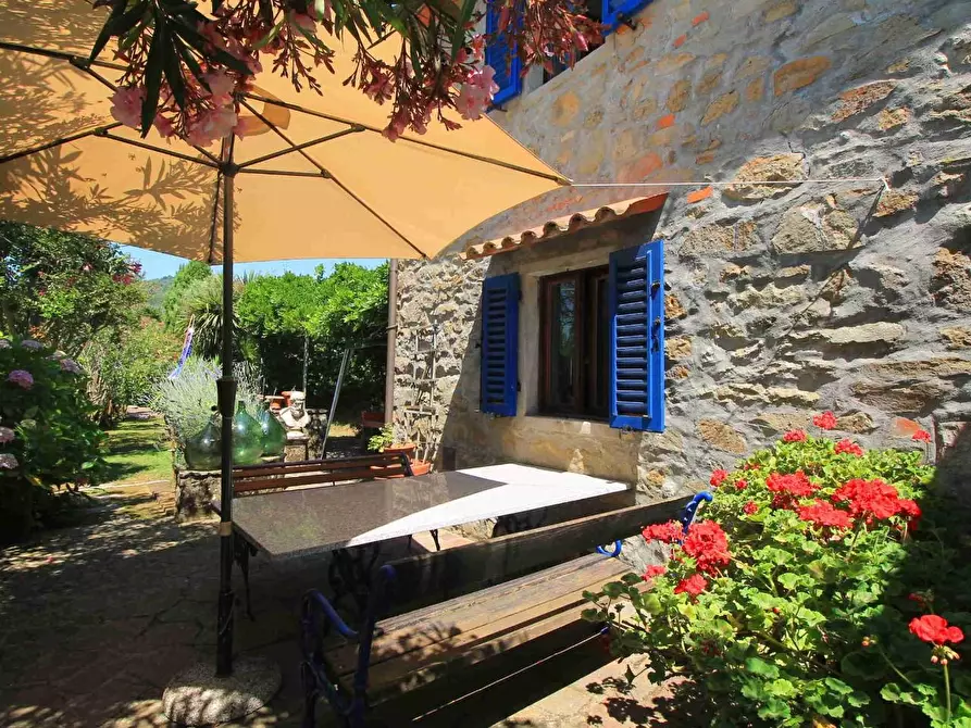 Immagine 25 di Casa colonica in vendita  a Montecatini Terme