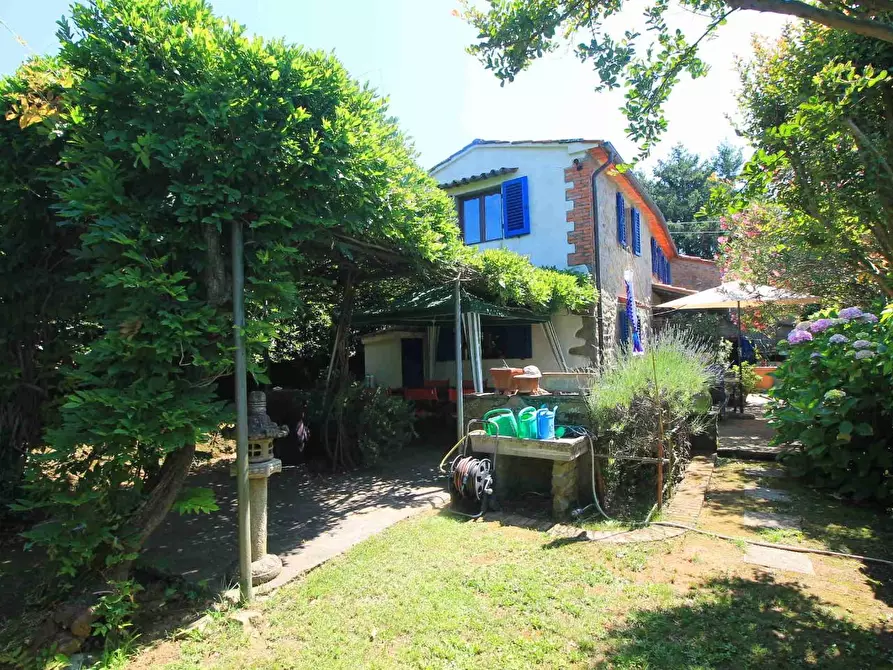 Immagine 5 di Casa colonica in vendita  a Montecatini Terme