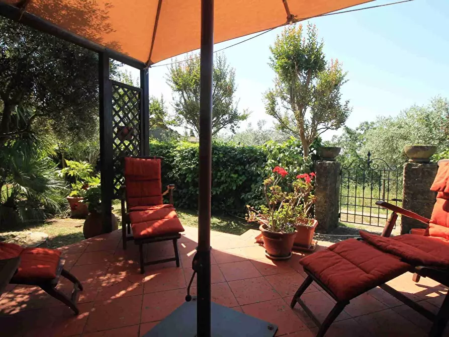 Immagine 7 di Casa colonica in vendita  a Montecatini Terme