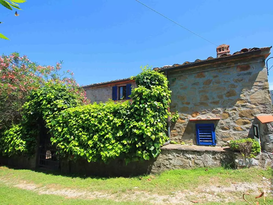 Immagine 30 di Casa colonica in vendita  a Montecatini Terme