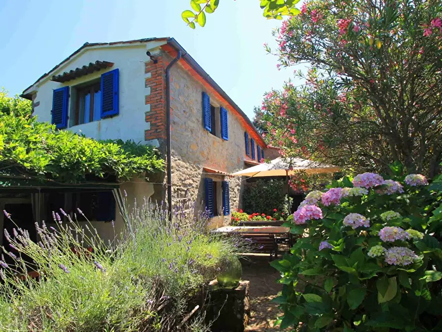 Immagine 33 di Casa colonica in vendita  a Montecatini Terme