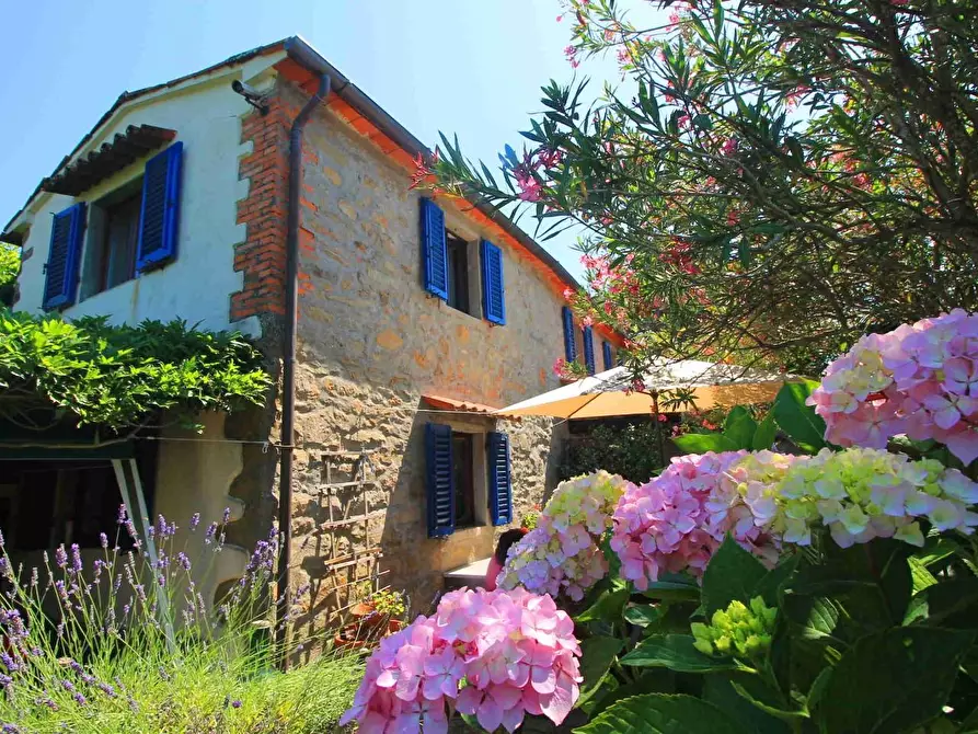Immagine 32 di Casa colonica in vendita  a Montecatini Terme