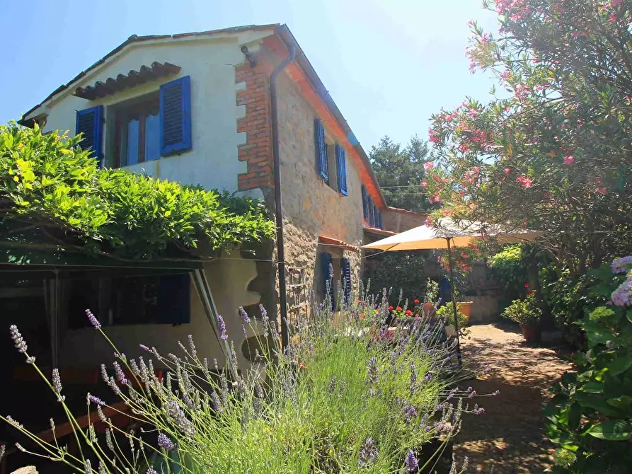 Immagine 31 di Casa colonica in vendita  a Montecatini Terme