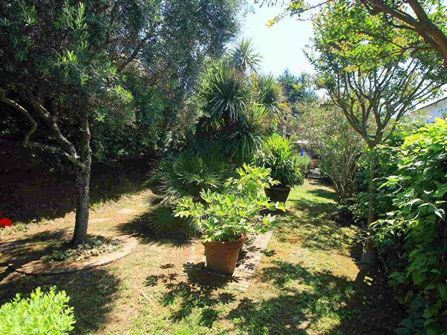 Immagine 26 di Casa colonica in vendita  a Montecatini Terme