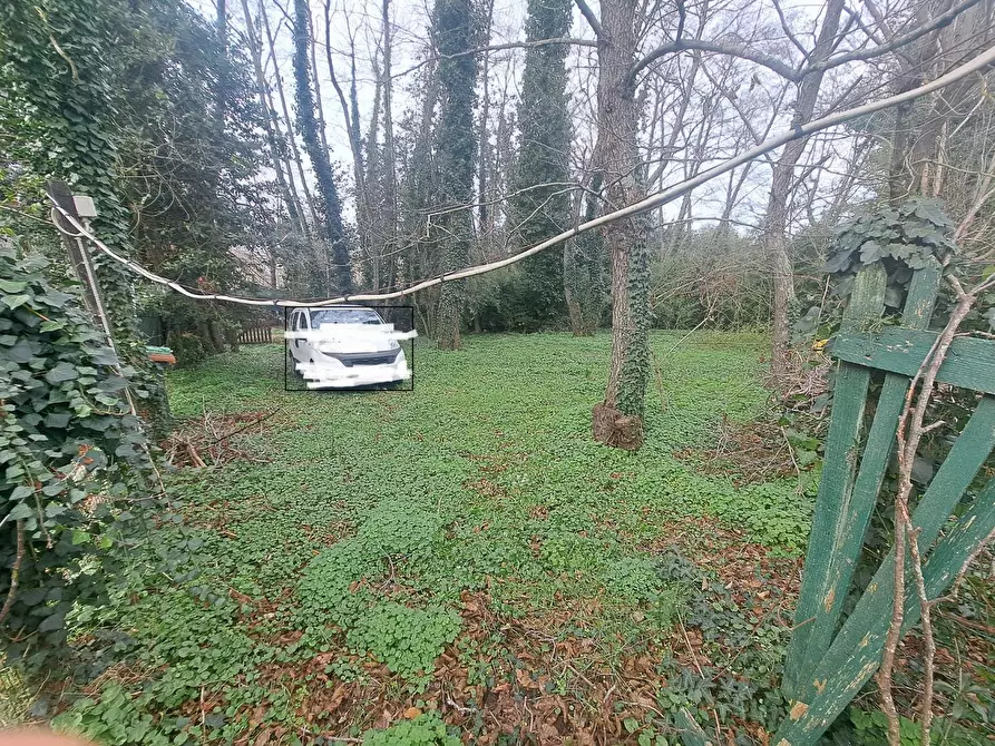 Immagine 1 di Terreno agricolo in vendita  a Pisa