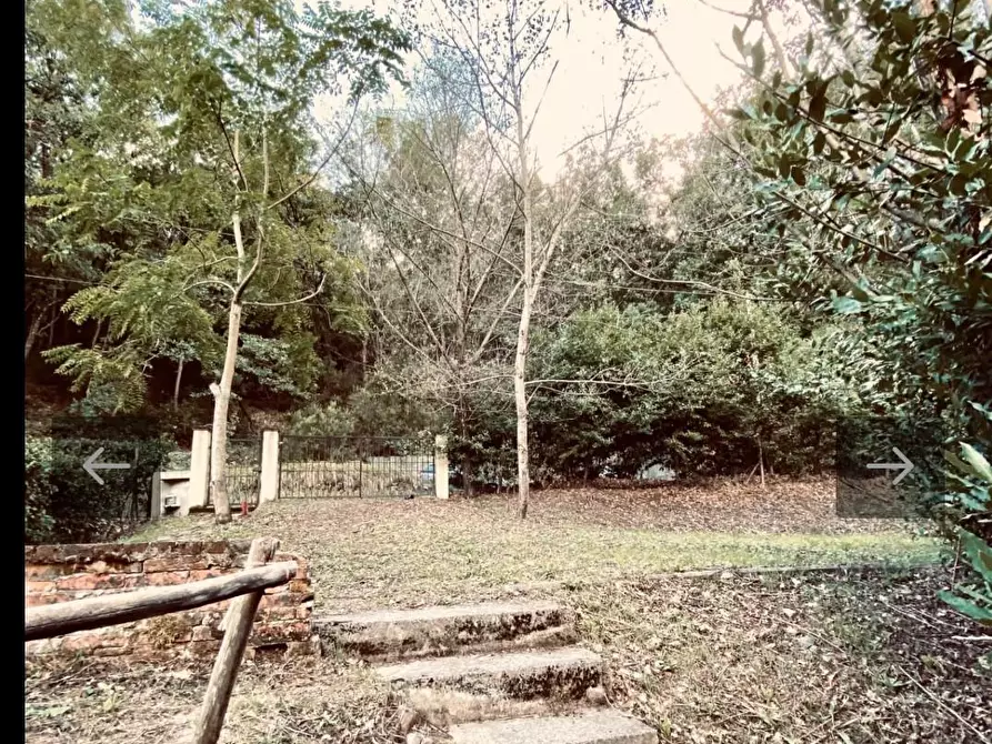 Immagine 2 di Rustico / casale in vendita  a Vicopisano