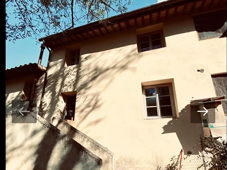 Immagine 15 di Rustico / casale in vendita  a Vicopisano