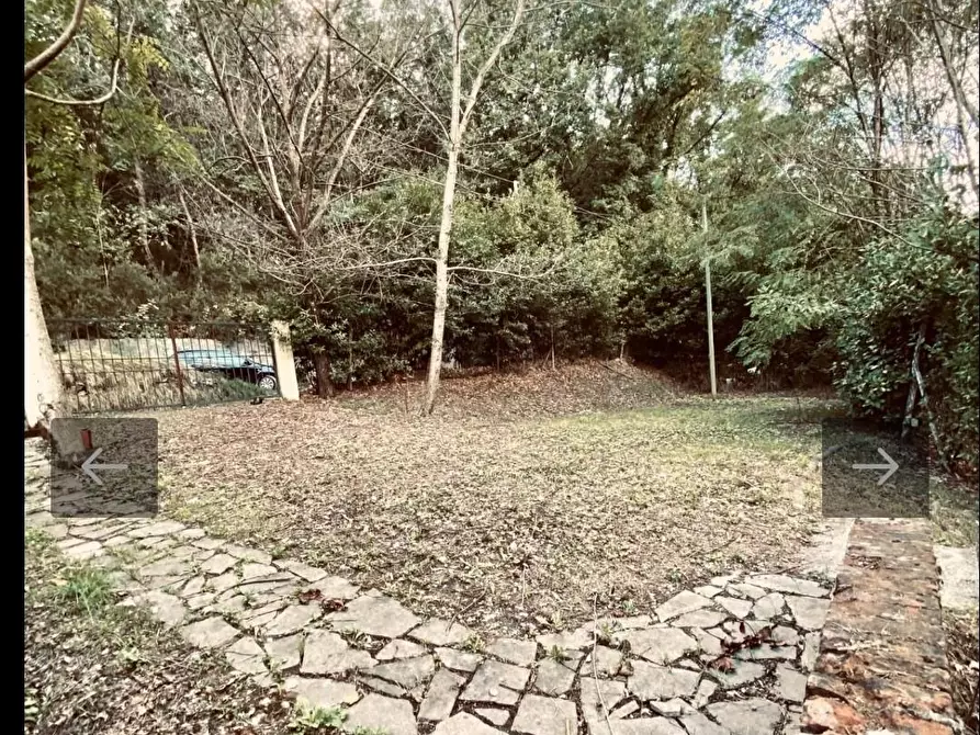 Immagine 3 di Rustico / casale in vendita  a Vicopisano