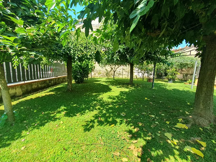 Immagine 3 di Villa in vendita  a Lucca