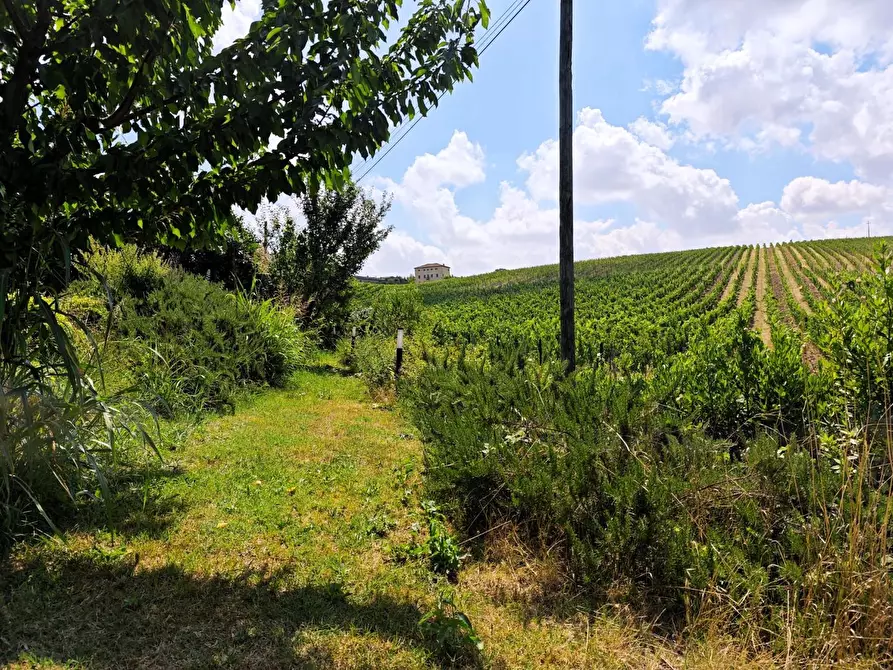 Immagine 14 di Villa in vendita  a Casciana Terme Lari