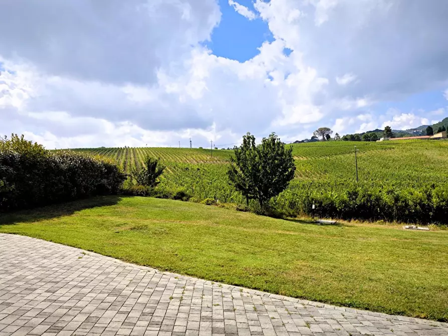 Immagine 4 di Villa in vendita  a Casciana Terme Lari