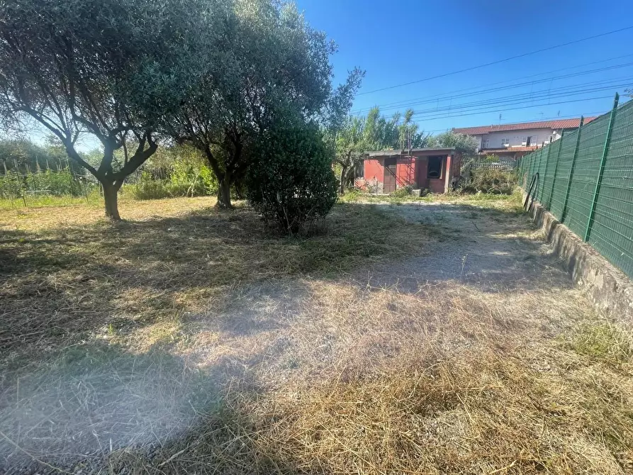 Immagine 7 di Appartamento in vendita  a Ortonovo