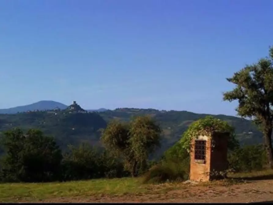 Immagine 1 di Casa colonica in vendita  a Castiglione D'orcia