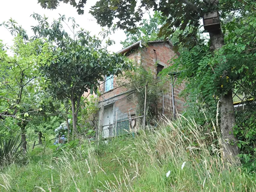 Immagine 2 di Casa indipendente in vendita  a Massa