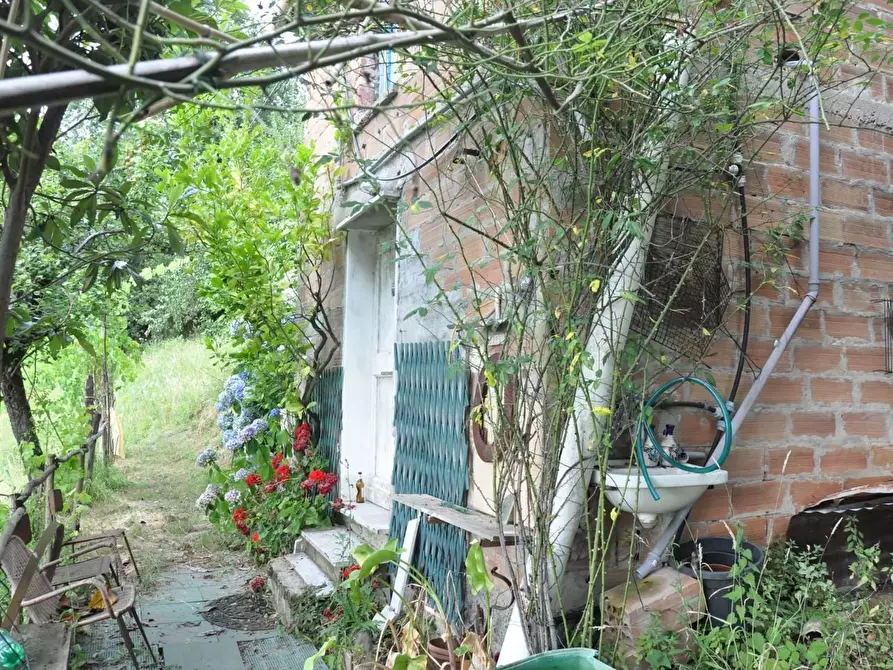 Immagine 5 di Casa indipendente in vendita  a Massa