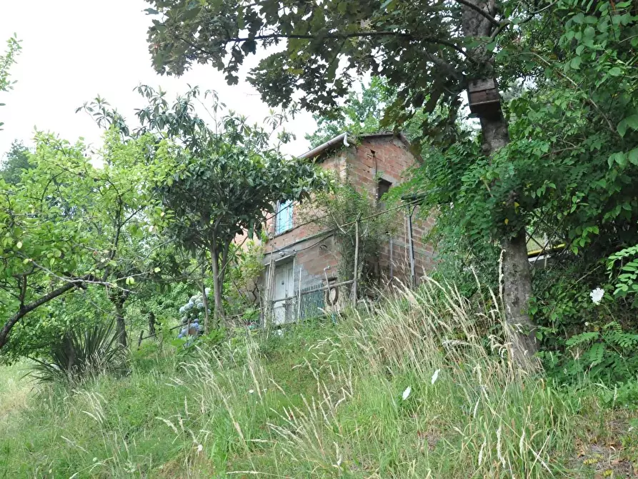 Immagine 10 di Casa indipendente in vendita  a Massa