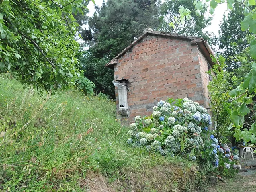 Immagine 3 di Casa indipendente in vendita  a Massa