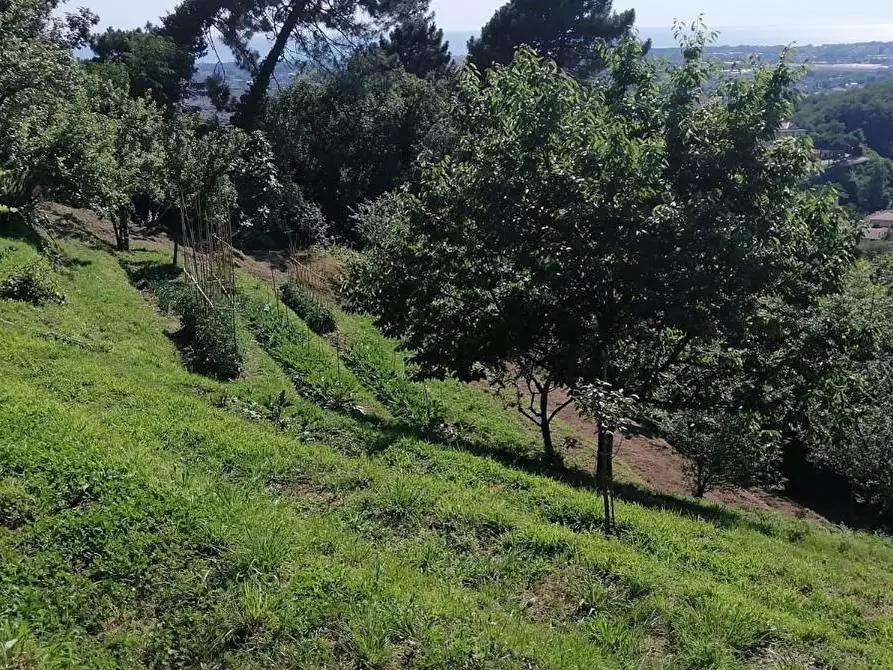 Immagine 9 di Casa indipendente in vendita  a Massa