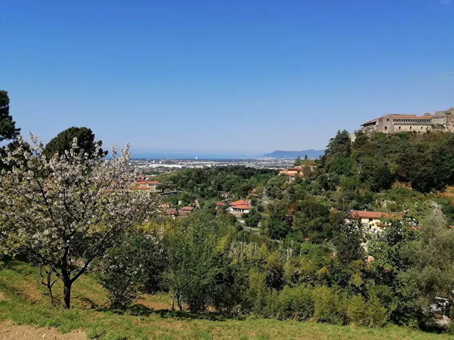 Immagine 1 di Casa indipendente in vendita  a Massa