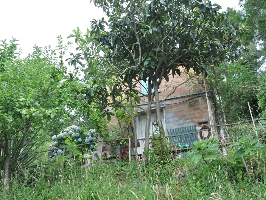 Immagine 4 di Casa indipendente in vendita  a Massa