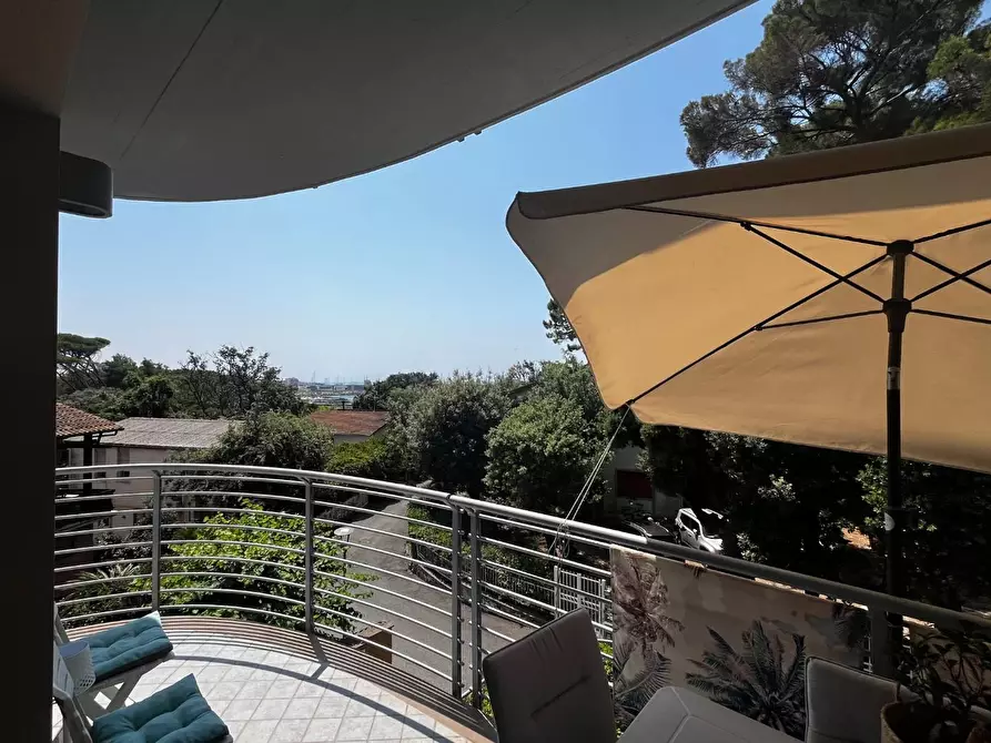 Immagine 13 di Appartamento in vendita  a Rosignano Marittimo