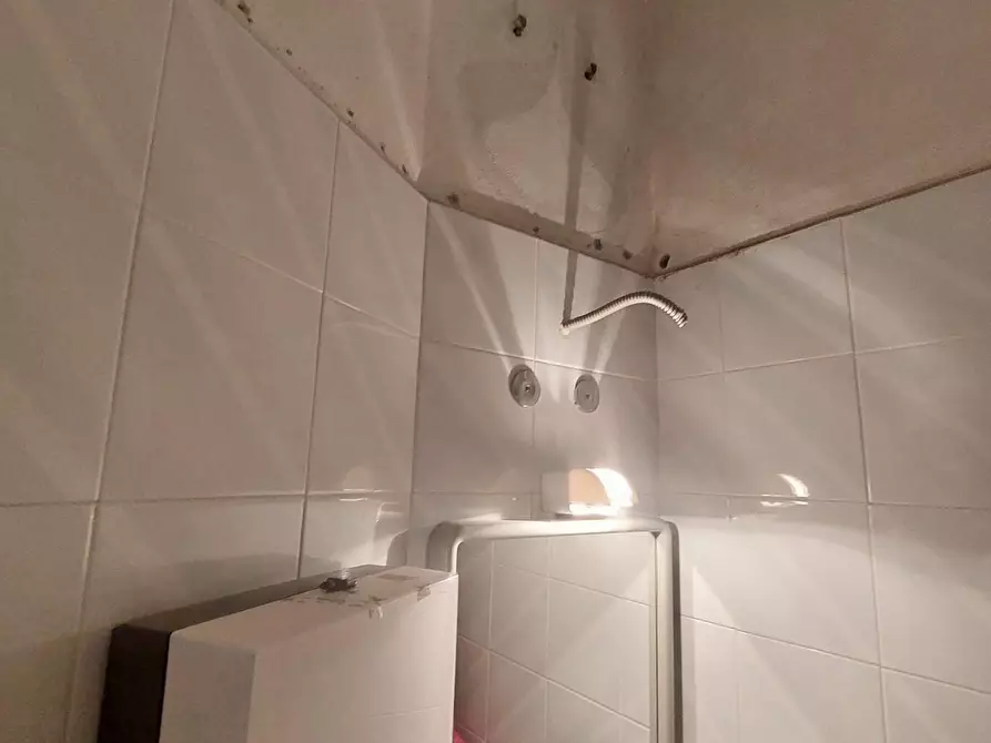 Immagine 5 di Negozio in vendita  a Viareggio