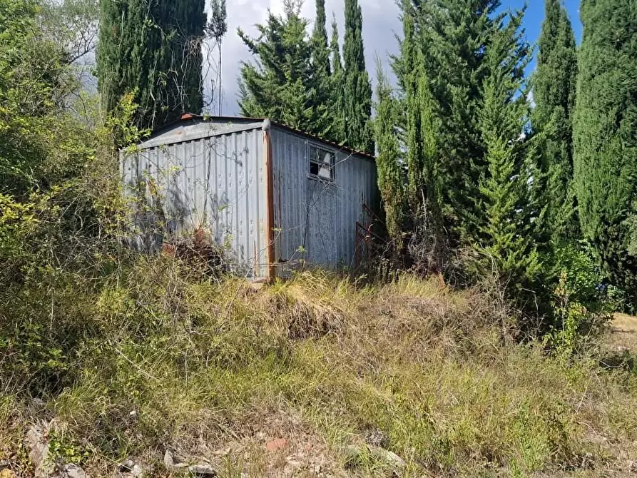 Immagine 4 di Terreno agricolo in vendita  a Crespina Lorenzana