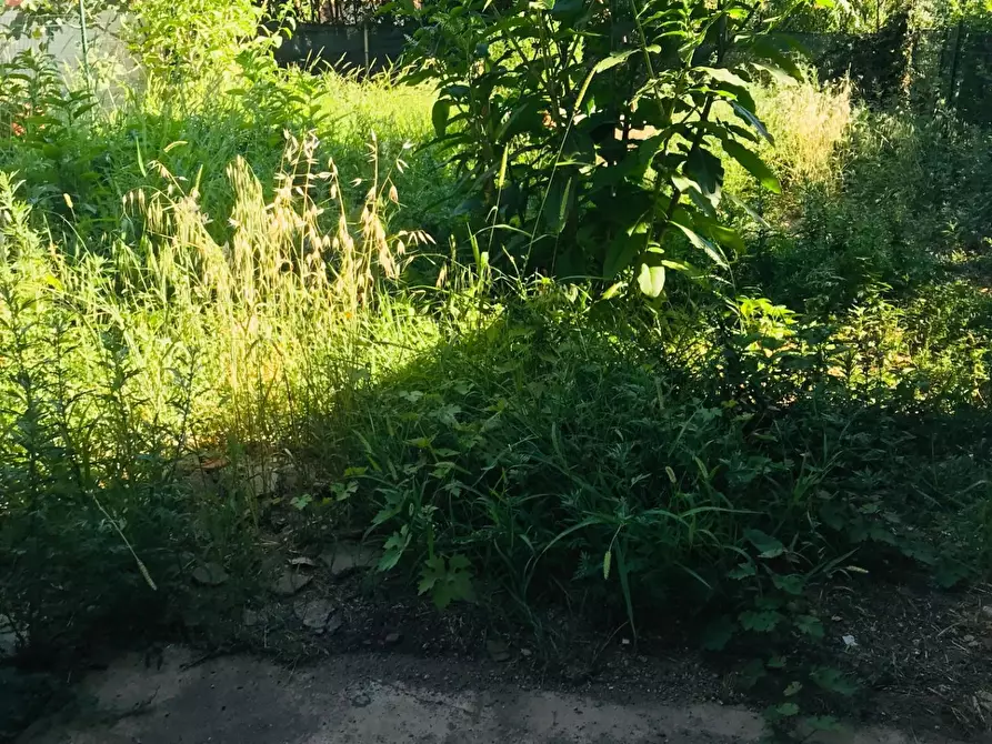 Immagine 2 di Terratetto in vendita  a Empoli