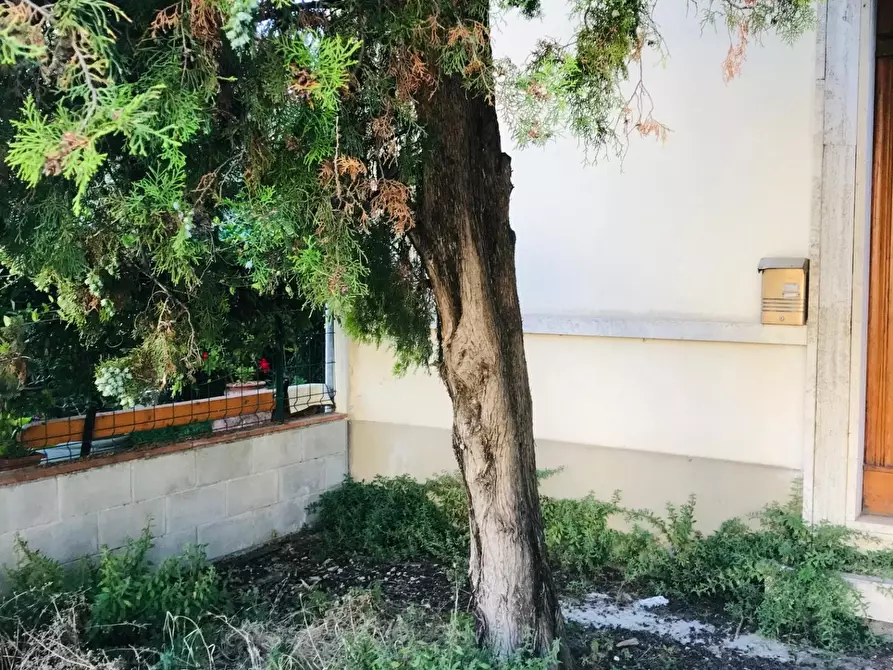 Immagine 6 di Appartamento in vendita  a Empoli