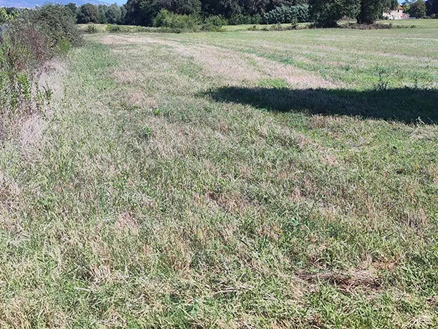Immagine 2 di Terreno agricolo in vendita  a Casciana Terme Lari