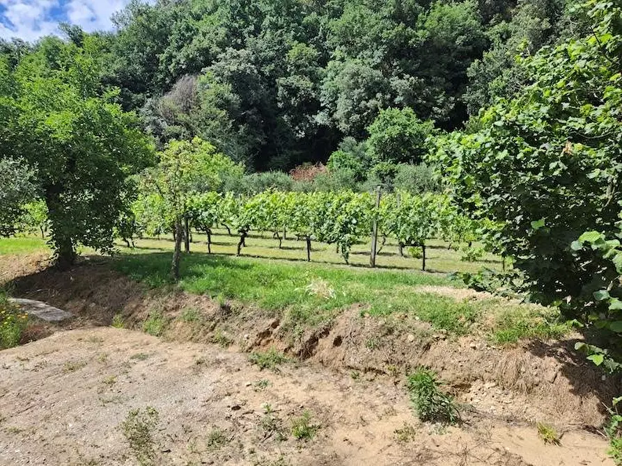 Immagine 38 di Casa indipendente in vendita  a Santa Maria A Monte