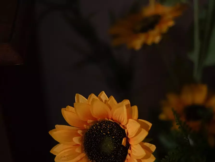 Immagine 69 di Casa semindipendente in vendita  a Sarzana