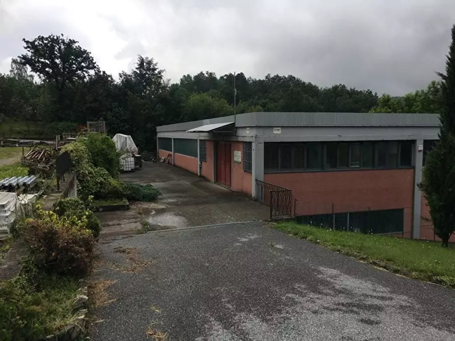 Immagine 1 di Capannone industriale in vendita  a San Romano In Garfagnana