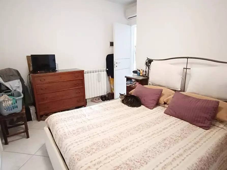 Immagine 8 di Appartamento in vendita  a Massa