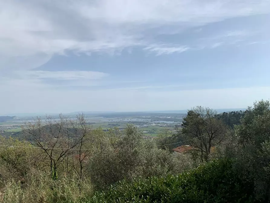 Immagine 44 di Villa in vendita  a Massarosa