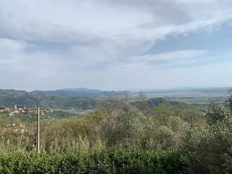 Immagine 43 di Villa in vendita  a Massarosa