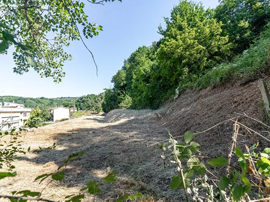 Immagine 22 di Casa colonica in vendita  a Capraia E Limite