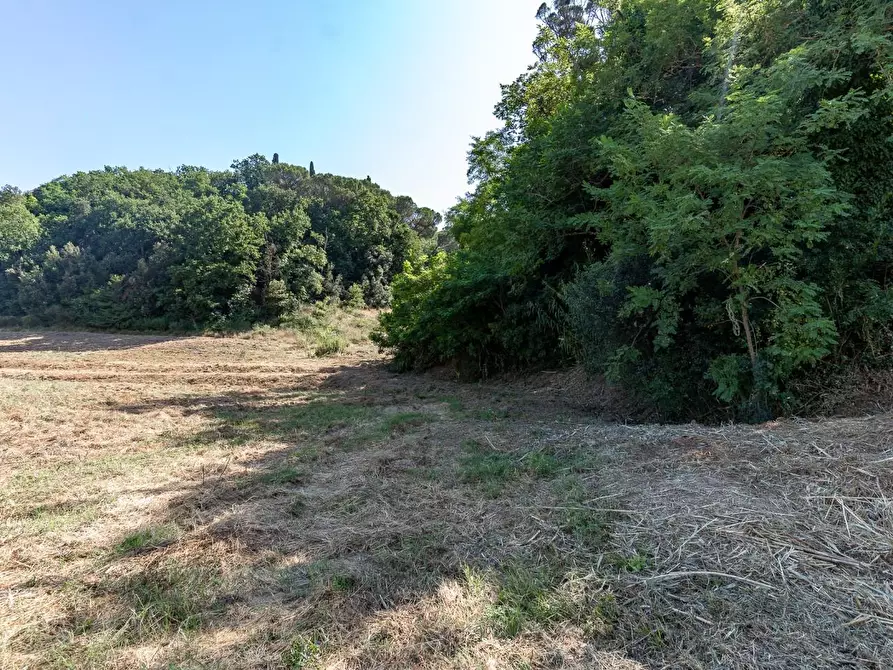 Immagine 25 di Casa colonica in vendita  a Capraia E Limite