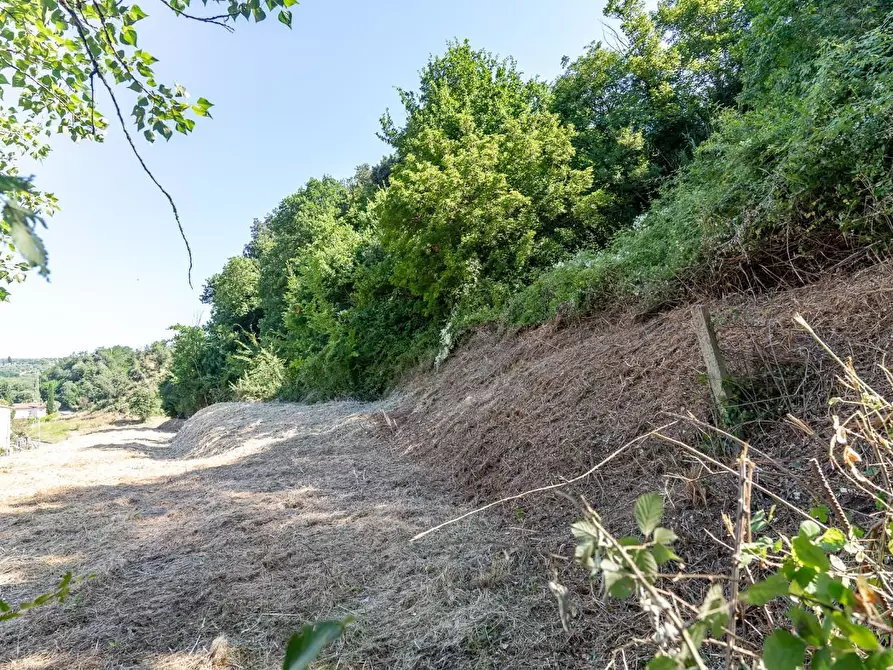 Immagine 23 di Casa colonica in vendita  a Capraia E Limite