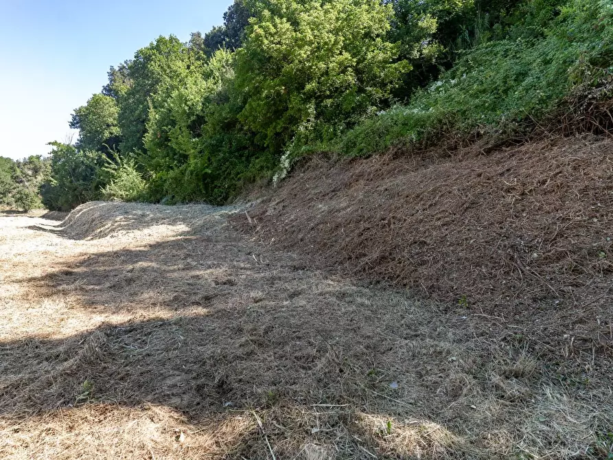 Immagine 27 di Casa colonica in vendita  a Capraia E Limite