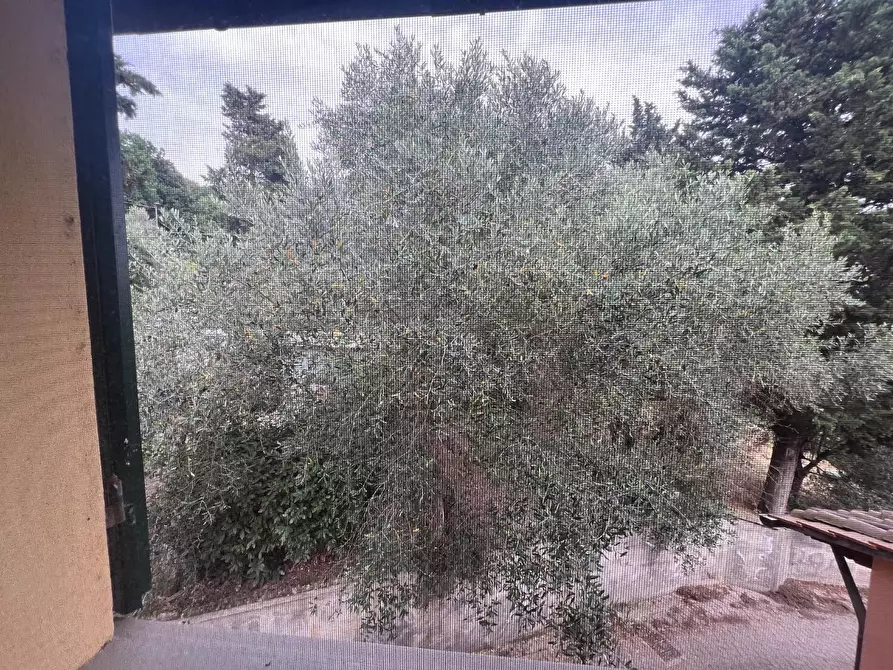 Immagine 28 di Villetta a schiera in vendita  a Montelupo Fiorentino