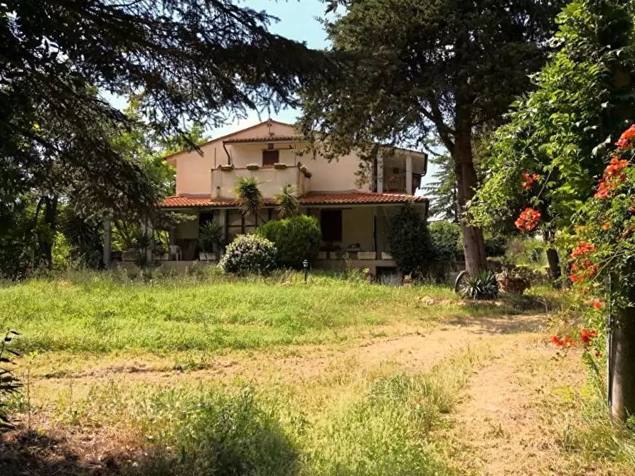 Immagine 1 di Casa colonica in vendita  a Palaia