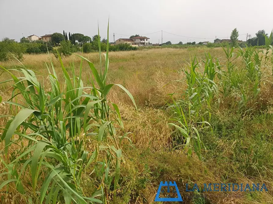 Immagine 1 di Terreno agricolo in vendita  a Larciano