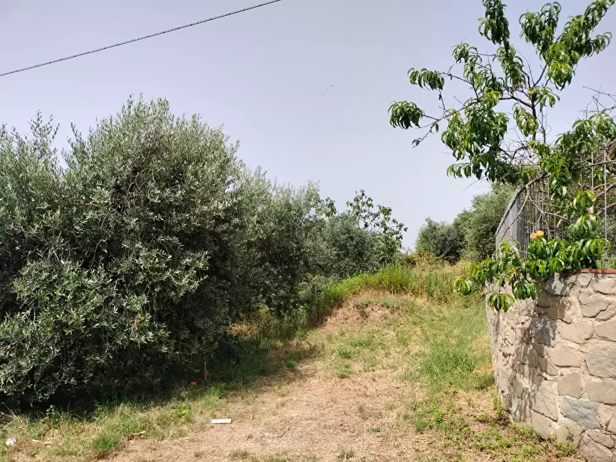 Immagine 17 di Appartamento in vendita  a Lamporecchio