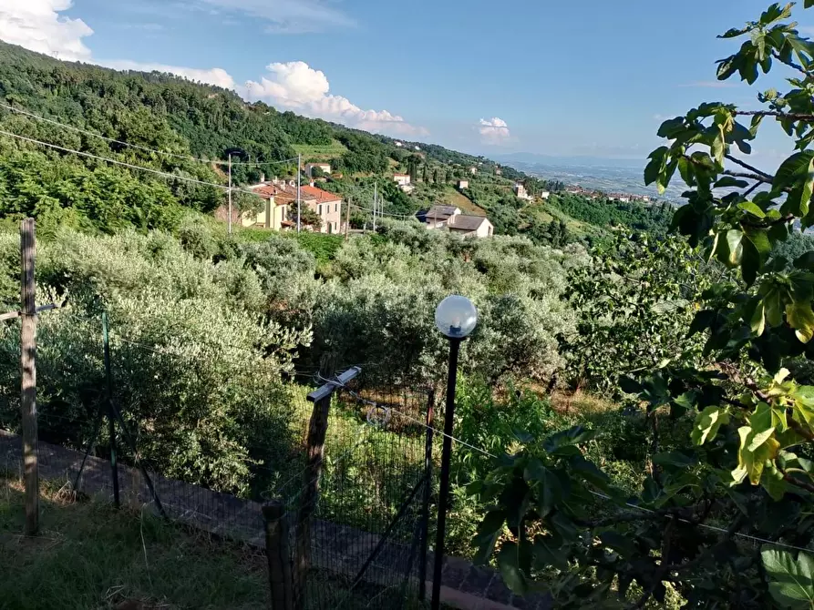 Immagine 16 di Appartamento in vendita  a Lamporecchio