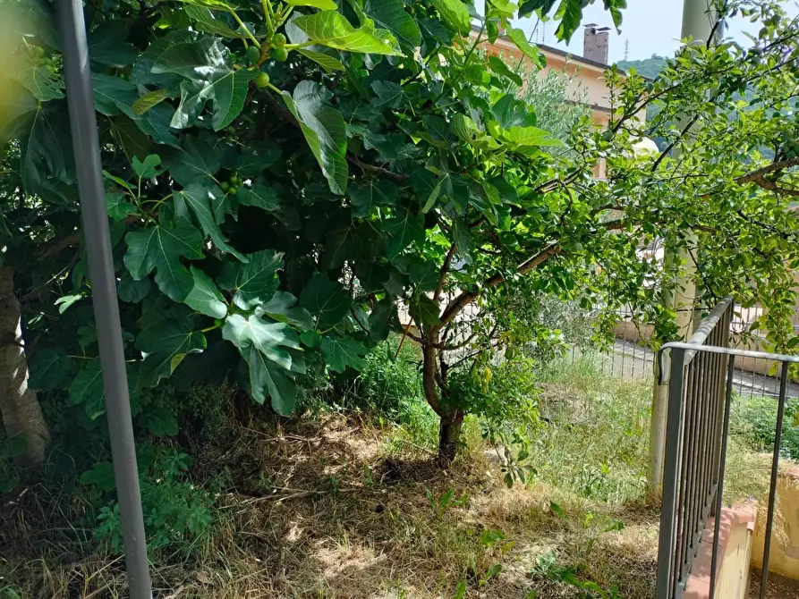 Immagine 13 di Appartamento in vendita  a Lamporecchio