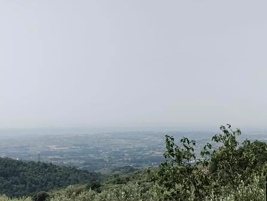 Immagine 23 di Appartamento in vendita  a Lamporecchio